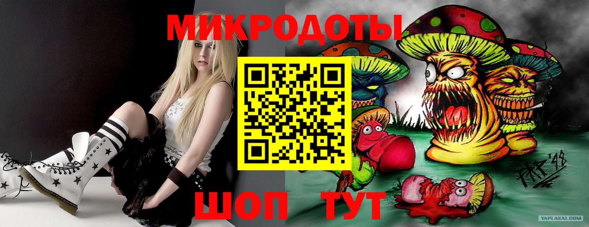Славянск-на-Кубани  Галлюциногенные грибы ЛСД  Вход с VPN 